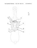 HORSEBACK RIDING ASSEMBLY diagram and image