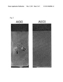 DUAL PHASE STEEL SHEET AND METHOD OF MANUFACTURING THE SAME diagram and image