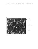 DUAL PHASE STEEL SHEET AND METHOD OF MANUFACTURING THE SAME diagram and image