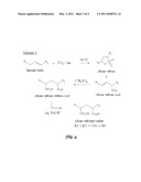 DI-FUNCTIONAL SURFACTANTS FOR ENHANCED OIL RECOVERY diagram and image