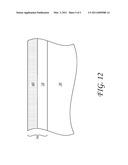 LIGHT COLLECTOR FOR AN ILLUMINATION OPTIC diagram and image