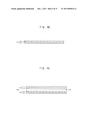 TOUCH PANEL HAVING REDUCED NUMBER OF INTERCONNECTS AND TOUCH INPUT/OUTPUT APPARATUS HAVING THE SAME diagram and image