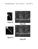 Adaptive PSF Estimation Technique Using a Sharp Preview and a Blurred Image diagram and image