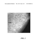 SYSTEM FOR IMAGING PATHWAY VERIFICATION diagram and image