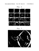 MANUFACTURE OF SINTERED SILICON ALLOY diagram and image