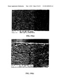 THERMALLY EXFOLIATED GRAPHITE OXIDE diagram and image