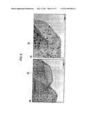 MICROPOROUS CARBON MATERIAL, MANUFACTURING METHOD THEREOF, AND HYDROGEN STORAGE METHOD USING MICROPOROUS CARBON MATERIAL diagram and image