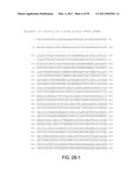 POLYPEPTIDES AND POLYNUCLEOTIDES, AND USES THEREOF AS A DRUG TARGET FOR PRODUCING DRUGS AND BIOLOGICS diagram and image