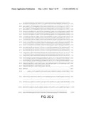 POLYPEPTIDES AND POLYNUCLEOTIDES, AND USES THEREOF AS A DRUG TARGET FOR PRODUCING DRUGS AND BIOLOGICS diagram and image