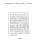 POLYPEPTIDES AND POLYNUCLEOTIDES, AND USES THEREOF AS A DRUG TARGET FOR PRODUCING DRUGS AND BIOLOGICS diagram and image