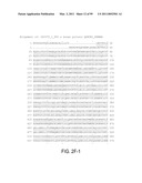 POLYPEPTIDES AND POLYNUCLEOTIDES, AND USES THEREOF AS A DRUG TARGET FOR PRODUCING DRUGS AND BIOLOGICS diagram and image