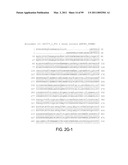 POLYPEPTIDES AND POLYNUCLEOTIDES, AND USES THEREOF AS A DRUG TARGET FOR PRODUCING DRUGS AND BIOLOGICS diagram and image