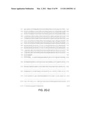 POLYPEPTIDES AND POLYNUCLEOTIDES, AND USES THEREOF AS A DRUG TARGET FOR PRODUCING DRUGS AND BIOLOGICS diagram and image