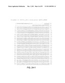 POLYPEPTIDES AND POLYNUCLEOTIDES, AND USES THEREOF AS A DRUG TARGET FOR PRODUCING DRUGS AND BIOLOGICS diagram and image