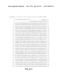 POLYPEPTIDES AND POLYNUCLEOTIDES, AND USES THEREOF AS A DRUG TARGET FOR PRODUCING DRUGS AND BIOLOGICS diagram and image