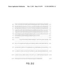 POLYPEPTIDES AND POLYNUCLEOTIDES, AND USES THEREOF AS A DRUG TARGET FOR PRODUCING DRUGS AND BIOLOGICS diagram and image