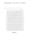 POLYPEPTIDES AND POLYNUCLEOTIDES, AND USES THEREOF AS A DRUG TARGET FOR PRODUCING DRUGS AND BIOLOGICS diagram and image