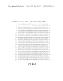 POLYPEPTIDES AND POLYNUCLEOTIDES, AND USES THEREOF AS A DRUG TARGET FOR PRODUCING DRUGS AND BIOLOGICS diagram and image