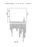 POLYPEPTIDES AND POLYNUCLEOTIDES, AND USES THEREOF AS A DRUG TARGET FOR PRODUCING DRUGS AND BIOLOGICS diagram and image