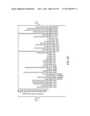 POLYPEPTIDES AND POLYNUCLEOTIDES, AND USES THEREOF AS A DRUG TARGET FOR PRODUCING DRUGS AND BIOLOGICS diagram and image