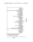 POLYPEPTIDES AND POLYNUCLEOTIDES, AND USES THEREOF AS A DRUG TARGET FOR PRODUCING DRUGS AND BIOLOGICS diagram and image