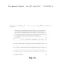 POLYPEPTIDES AND POLYNUCLEOTIDES, AND USES THEREOF AS A DRUG TARGET FOR PRODUCING DRUGS AND BIOLOGICS diagram and image