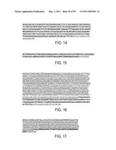 POLYPEPTIDES AND POLYNUCLEOTIDES, AND USES THEREOF AS A DRUG TARGET FOR PRODUCING DRUGS AND BIOLOGICS diagram and image