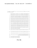 POLYPEPTIDES AND POLYNUCLEOTIDES, AND USES THEREOF AS A DRUG TARGET FOR PRODUCING DRUGS AND BIOLOGICS diagram and image