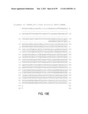 POLYPEPTIDES AND POLYNUCLEOTIDES, AND USES THEREOF AS A DRUG TARGET FOR PRODUCING DRUGS AND BIOLOGICS diagram and image