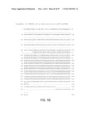 POLYPEPTIDES AND POLYNUCLEOTIDES, AND USES THEREOF AS A DRUG TARGET FOR PRODUCING DRUGS AND BIOLOGICS diagram and image