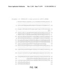 POLYPEPTIDES AND POLYNUCLEOTIDES, AND USES THEREOF AS A DRUG TARGET FOR PRODUCING DRUGS AND BIOLOGICS diagram and image