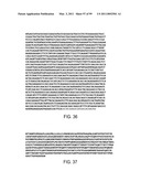 POLYPEPTIDES AND POLYNUCLEOTIDES, AND USES THEREOF AS A DRUG TARGET FOR PRODUCING DRUGS AND BIOLOGICS diagram and image