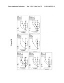 METHOD OF INHIBITION OF LEUKEMIC STEM CELLS diagram and image