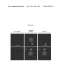 Facilitation of Oocyte, Zygote and Pre-Implantation Embryo Maturation diagram and image