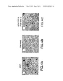 PEPTIDE CONJUGATE COMPOSITIONS AND METHODS FOR THE PREVENTION AND TREATMENT OF ALZHEIMER S DISEASE diagram and image