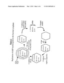 Recombinant Double-Stranded RNA Phage, and Use of the Same diagram and image