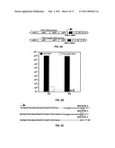 Attenuated recombinant alphaviruses incapable of replicating in mosquitoes and uses thereof diagram and image