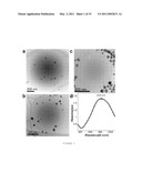 NEAR INFRA-RED PULSED LASER TRIGGERED DRUG RELEASE FROM HOLLOW NANOSHELL DISRUPTED VESICLES AND VESOSOMES diagram and image