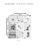 NEAR INFRA-RED PULSED LASER TRIGGERED DRUG RELEASE FROM HOLLOW NANOSHELL DISRUPTED VESICLES AND VESOSOMES diagram and image