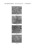 DIRECT LIQUID FUEL CELL HAVING HYDRAZINE OR DERIVATIVES THEREOF AS FUEL diagram and image