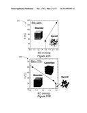 NANOSTRUCTURED POLYMER MEMBRANES FOR PROTON CONDUCTION diagram and image