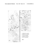 METHOD OF FUNCTIONALIZING A CARBON MATERIAL diagram and image