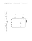 DNA Glycosylase/Lyase and AP Endonuclease substrates diagram and image