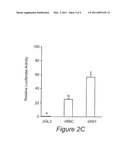 GENETIC MARKERS FOR ASSESSING RISK OF PREMATURE BIRTH RESULTING FROM PRETERM PREMATURE RUPTURE MEMBRANES diagram and image