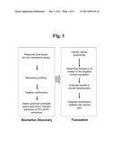 METHODS FOR DETERMINING CANCER RESISTANCE TO HISTONE DEACETYLASE INHIBITORS diagram and image