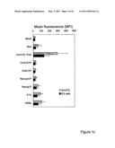 STEM CELL EXPRESSION CASSETTES diagram and image