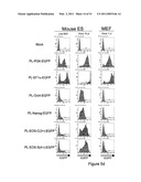 STEM CELL EXPRESSION CASSETTES diagram and image