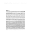 STEM CELL EXPRESSION CASSETTES diagram and image