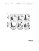 STEM CELL EXPRESSION CASSETTES diagram and image