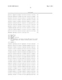 STEM CELL EXPRESSION CASSETTES diagram and image